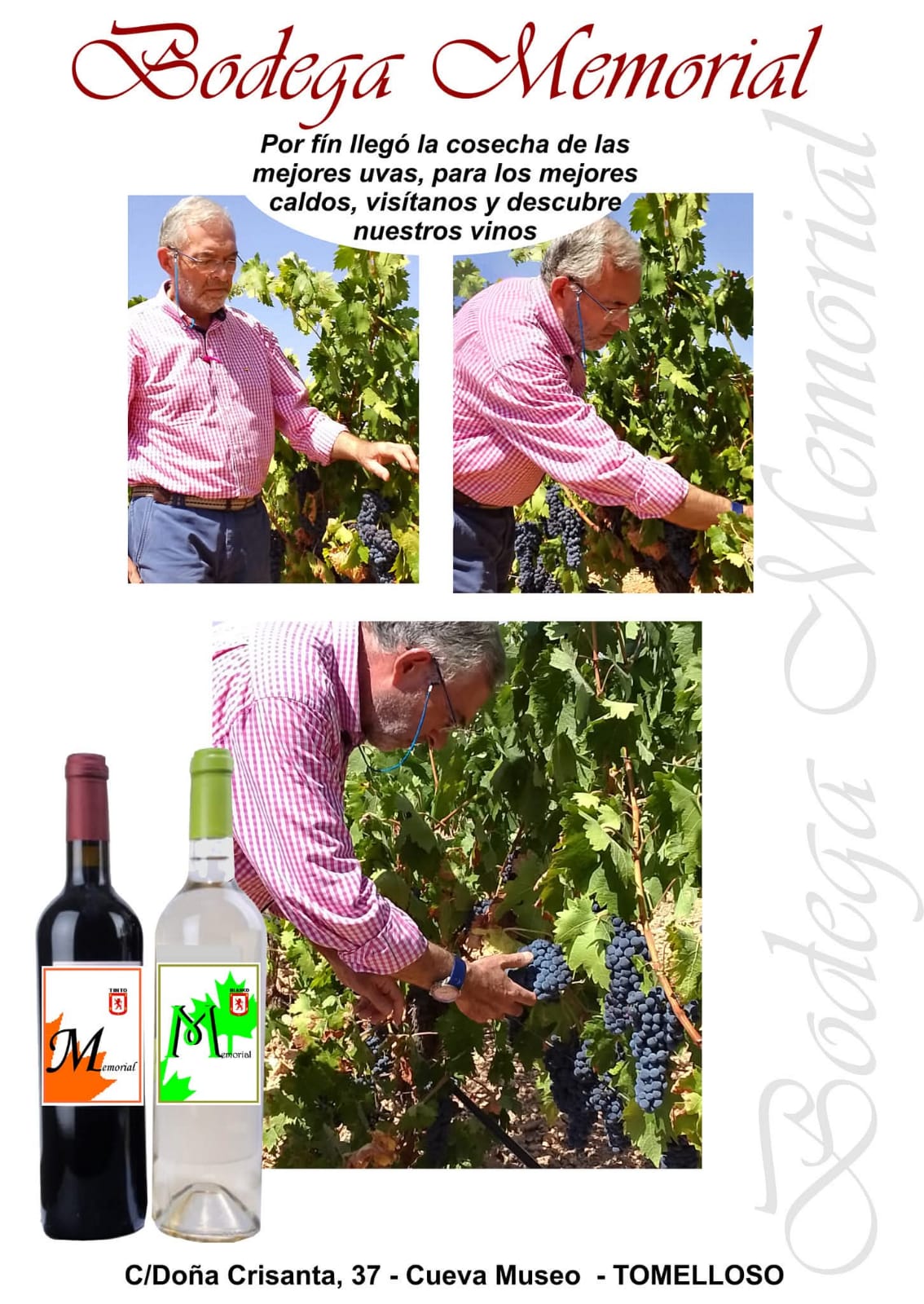 Vendimia Bodega Memorial